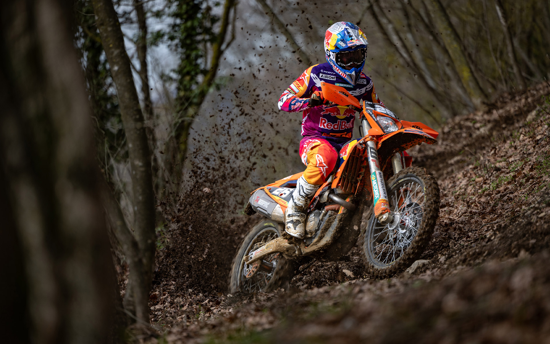 KTM 500 EXC-F Champion Edition 2025